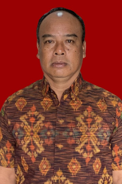 I Made Wijaya